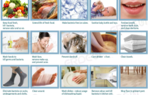 臭氧发生器在我们大众生活中的使用情况